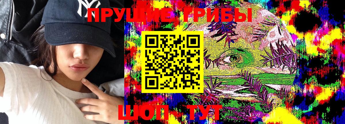 Галлюциногенные грибы мицелий  Вход с VPN  Галлюциногенные грибы MAGIC MUSHROOMS  Миллерово 