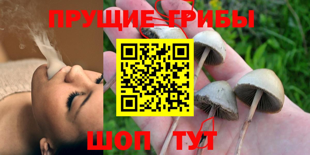 Псилоцибиновые грибы прущие грибы Миллерово