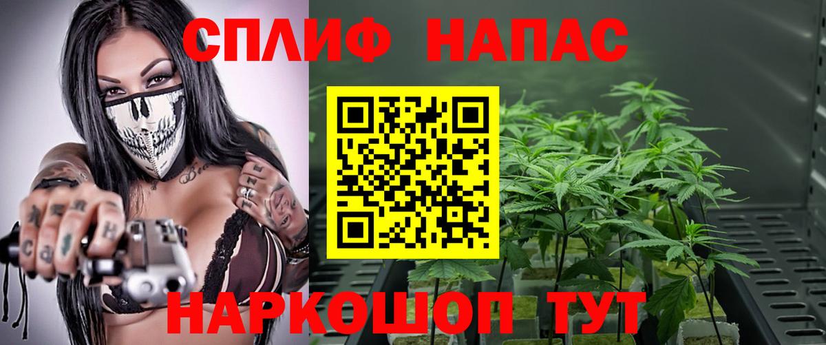 Миллерово  Канабис ГИДРОПОН  Каннабис VHQ  Вход с VPN  Шишки марихуана THC 21%  Марихуана VHQ 
